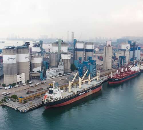 The Future of Global Energy Logistics